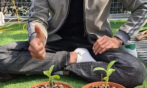 Vì lòng tham nên nhiều người "ôm hận" lan đột biến