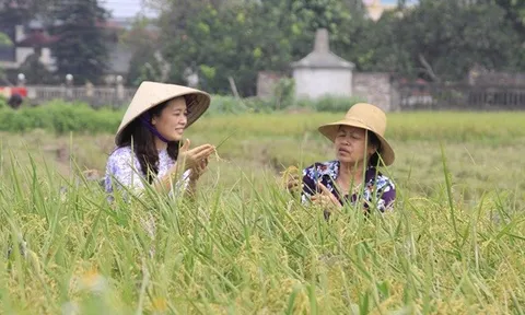 Về mô hình mở đường cho kinh tế hợp tác phù hợp với trình độ của kinh tế hộ nông dân