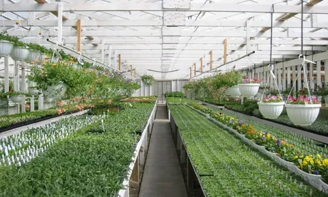 Phát triển Nông nghiệp đô thị bền vững - một số vấn đề cần đặt ra