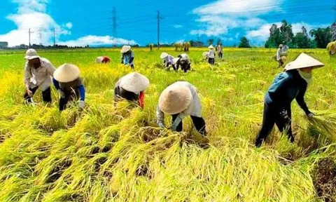 Nông dân đồng bằng sông Hồng với xây dựng HTX Nông nghiệp