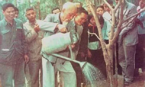 Chuyện cảm động ít biết về Bác Hồ khởi xướng Tết Trồng cây 60 năm về trước