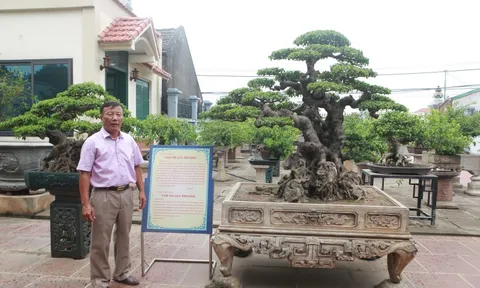 Sanh cổ “tân cổ giao duyên”, đại gia trả 10 tỷ đồng vẫn không mua được