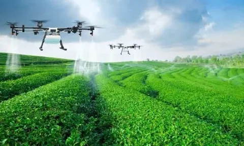 Hà Nội: Sắp diễn ra Hội thảo Định hướng và giải pháp phát triển Nông nghiệp Thông minh