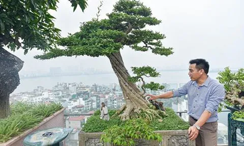 Nhà báo Vương Xuân Nguyên: Một tác phẩm Sinh Vật Cảnh rất có giá trị với người này những không hẳn điều đó đã đúng với người khác