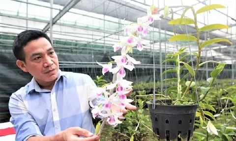 Nhà báo Vương Xuân Nguyên: Hoa cây cảnh ngành kinh tế sinh thái làm giàu cho Việt Nam