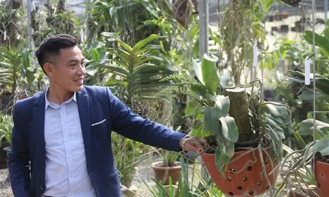 Lá kiểng giá trăm triệu, chuyên gia cảnh báo nguy cơ sốt ảo giống lan đột biến