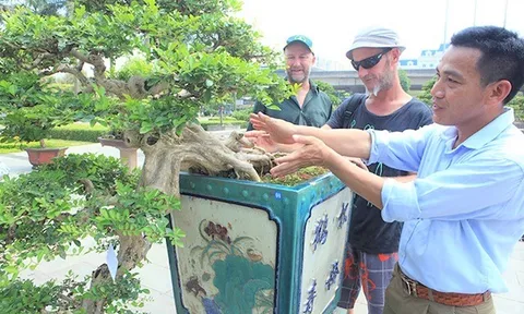 Nhà báo Vương Xuân Nguyên: Cây cảnh nghệ thuật Việt Nam không ngừng hội nhập và phát triển