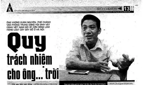 Cây đổ hàng loạt sau cơn dông: Quy trách nghiệm do ông...trời