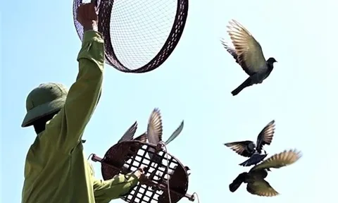 Nhà báo Vương Xuân Nguyên phân tích về thú chơi chim cảnh xưa và nay