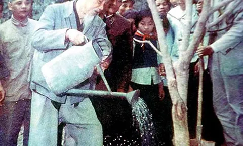 Bác Hồ với Tết Trồng cây năm Kỷ Hợi 60 năm về trước