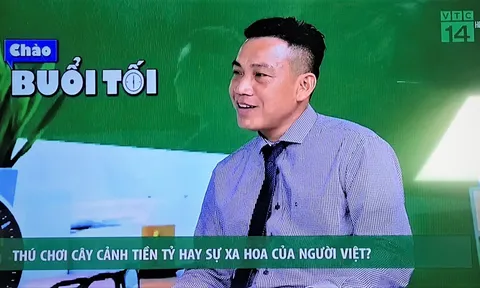 Nhà báo Vương Xuân Nguyên: "Giá cây cảnh nếu đẩy lên quá ảo sẽ lợi bất cập hại"