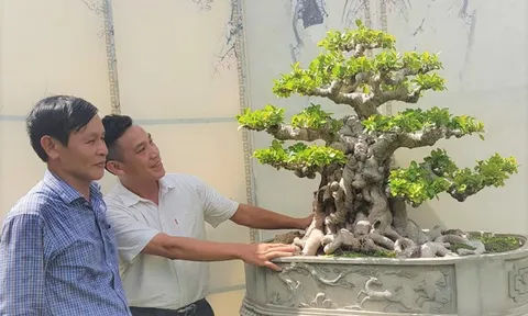 Nhà báo Vương Xuân Nguyên nói gì về thú chơi cây cảnh xưa và nay?