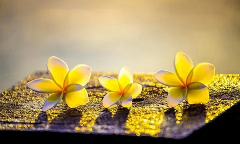 Nhà báo Vương Xuân Nguyên bàn về Tâm An Vạn Sự An