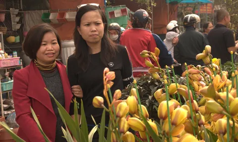 Nhộn nhịp Chợ hoa Vạn Phúc chiều 30 Tết!