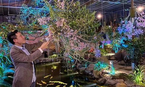 Ngắm Hoàng Thảo Xoắn!