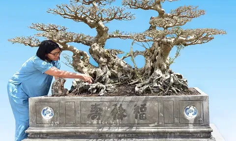 “Nhà báo Vương Xuân Nguyên” nói gì về tác phẩm Song Long Toạ Thạch